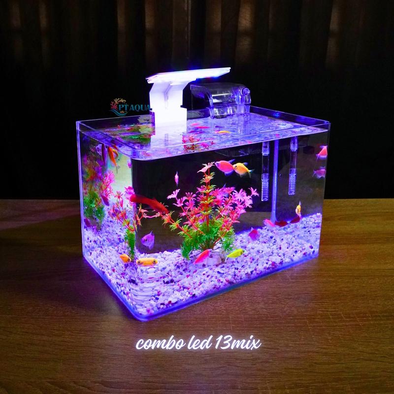 Bể Cá Mini Đúc Uốn Cong 2 Cạnh Trước Kích Thước 30x18x20cm Để Bàn Nnhiều Mẫu Lựa Chọn Có Kèm Phụ Kiện Sỏi Nền Và Cây Nhựa