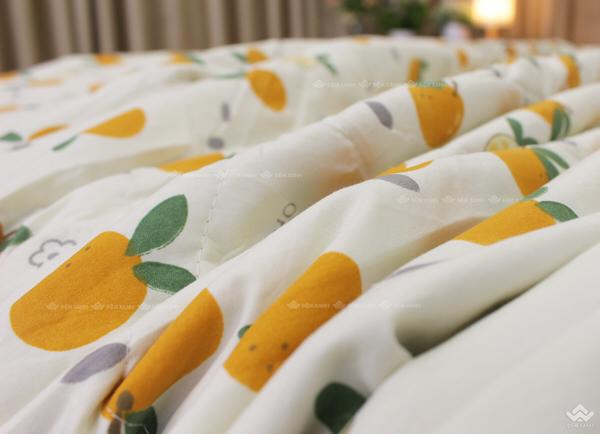 Product Introduction of Chăn hè xơ đậu nành 17