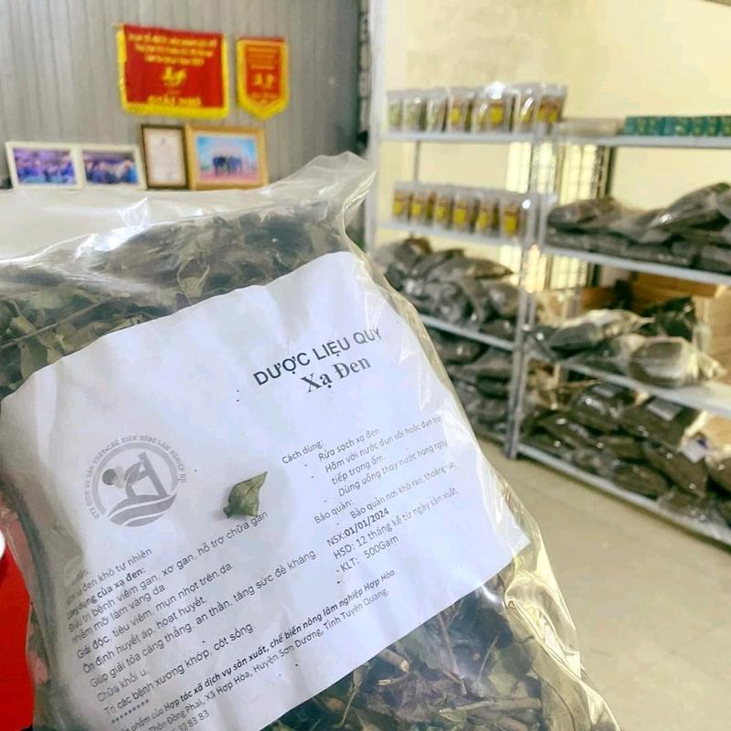 1kg Xạ Đen khô hàng sạch đẹp chuẩn loại 1 từ vùng núi Tam Đảo Tuyên Quang 5