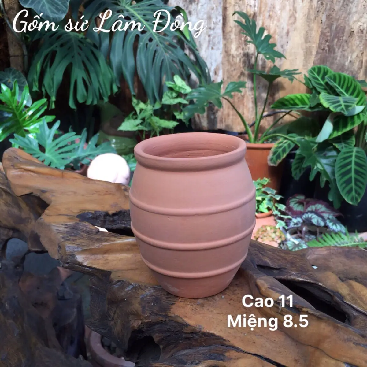 Lu bia đất nung giống hủ mật ong - phù hợp trồng cây, cắm hoa, decor