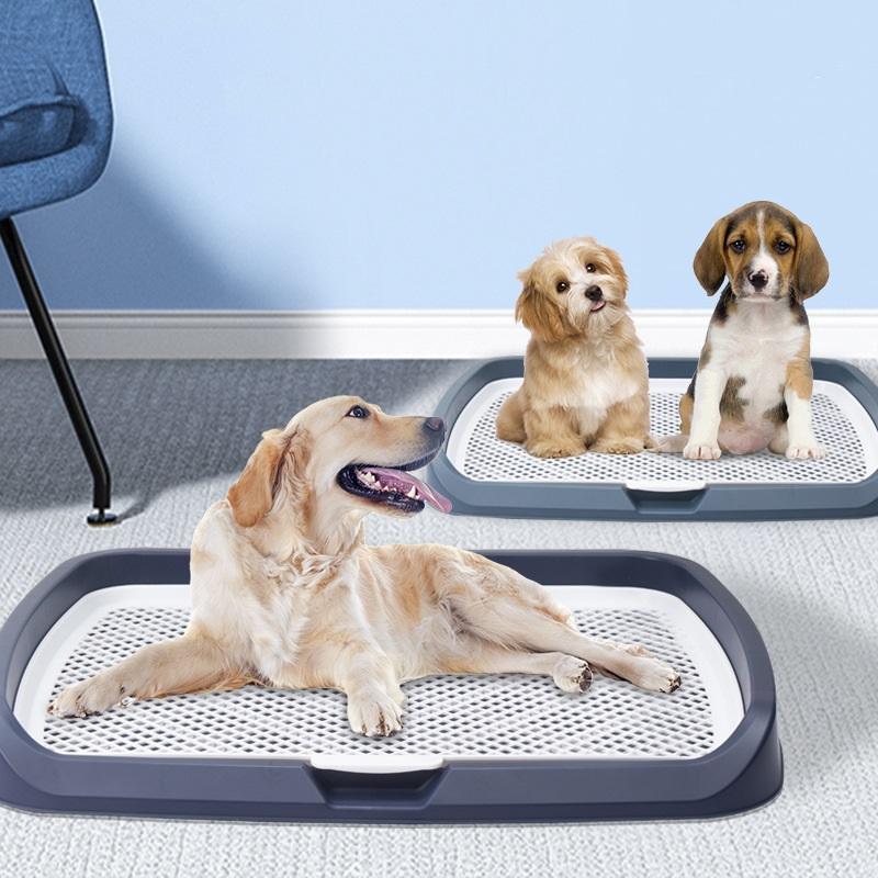 [Mới về] Khay vệ sinh cho chó size lớn L:65*50cm- Khay hướng dẫn cún đi vệ sinh tiện lợi