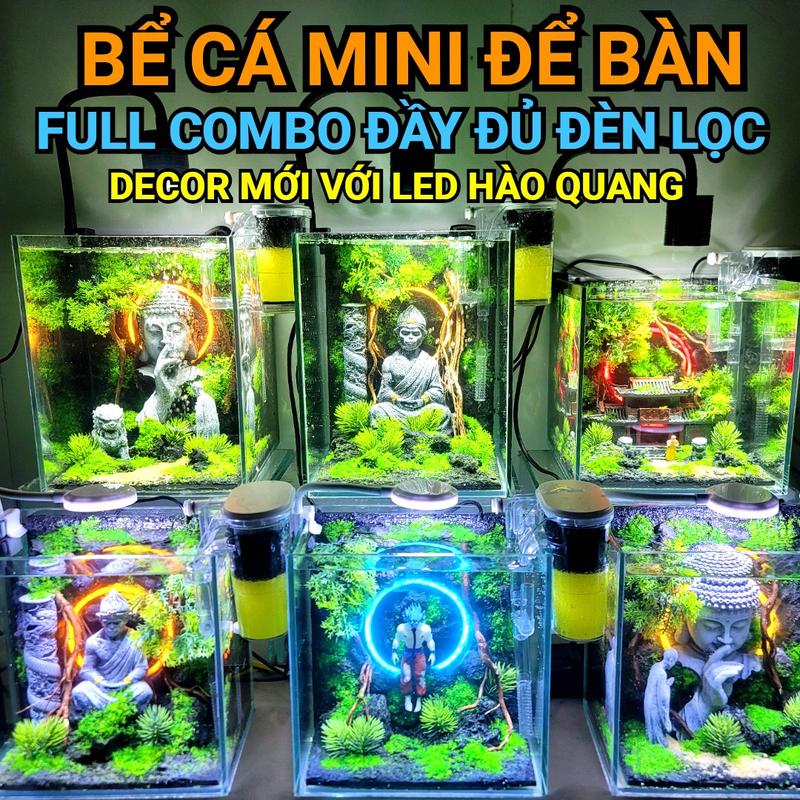Full combo bể cá mini để bàn setup sẵn với mẫu đèn led hào quang trang trí để bàn decor phòng với nhiều mẫu nuôicá