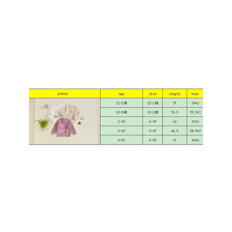 Product Introduction of Little Girl's Sweater Casual Letter Flower Embroidery Crew Neck Long Sleeve Pullover Tops for Fall Winter 0