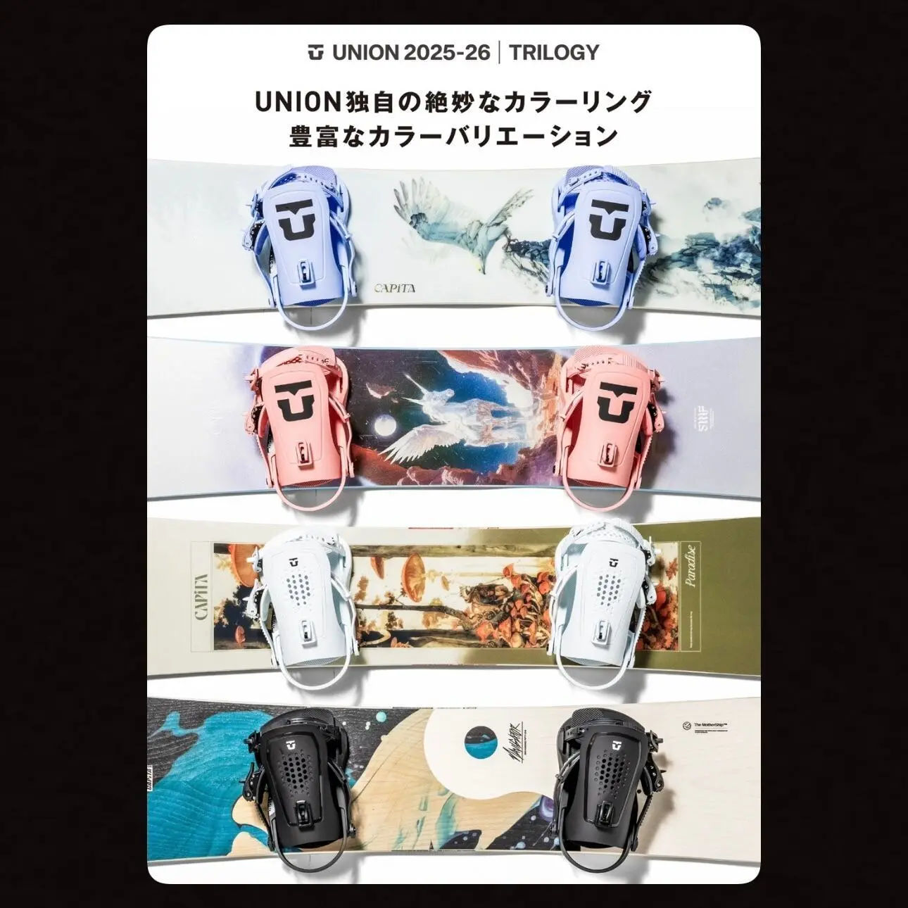 25-26モデル . UNION .『TRILOGY 』. LIGHT BLUE. ユニオン
