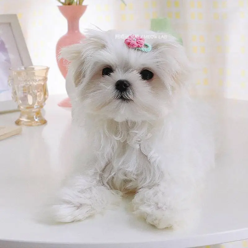No.222 ブルーグリーン　チャーム　4ペア Pet Hairpin Dog Hair Clips Korean Pet Hair Handmade Accessories BB