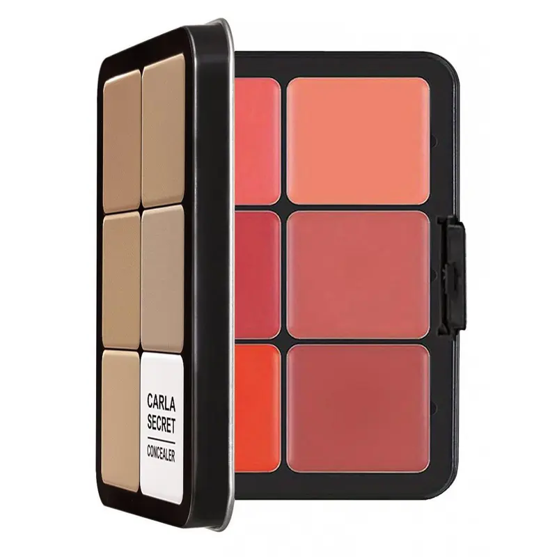 12 Color Blush Palette, 1 Box Matte & Glitter Glow Highlighter Palette, Long Lasting Blush Concealer Palette, Natural Look Blush for Daily Makeup, Compact Cosmetics 5