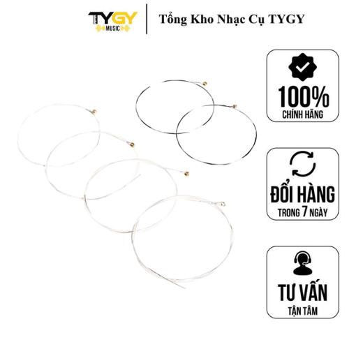 Dây Đàn Guitar Acoustic TYGY Music Alice Lẻ