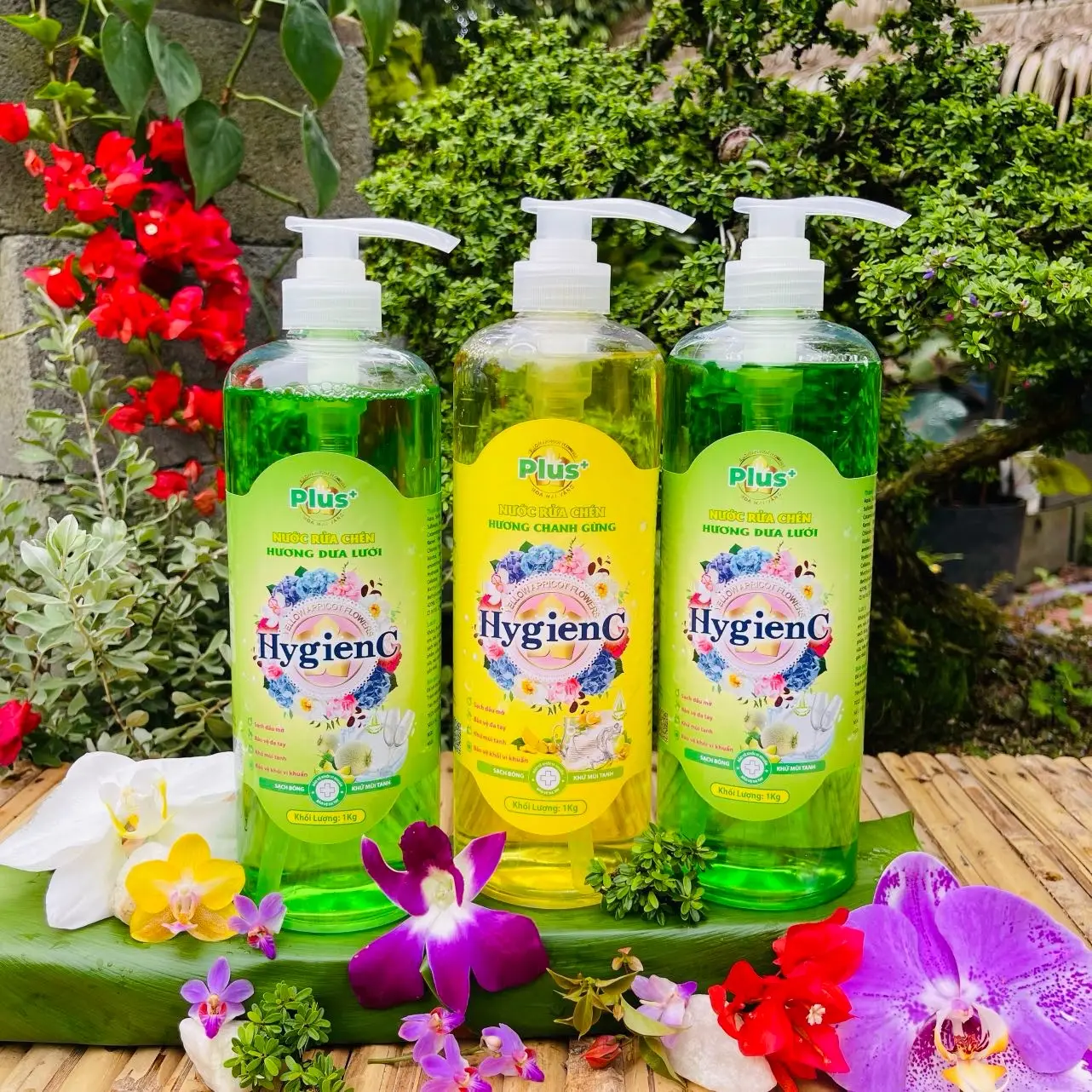 Combo 3Kg Nước Rửa Chén Sinh Học Hygienc Plus Hương Dưa Lưới & Chanh Gừng - Nước Rửa Chén Sinh Học An Toàn Cho Da Tay