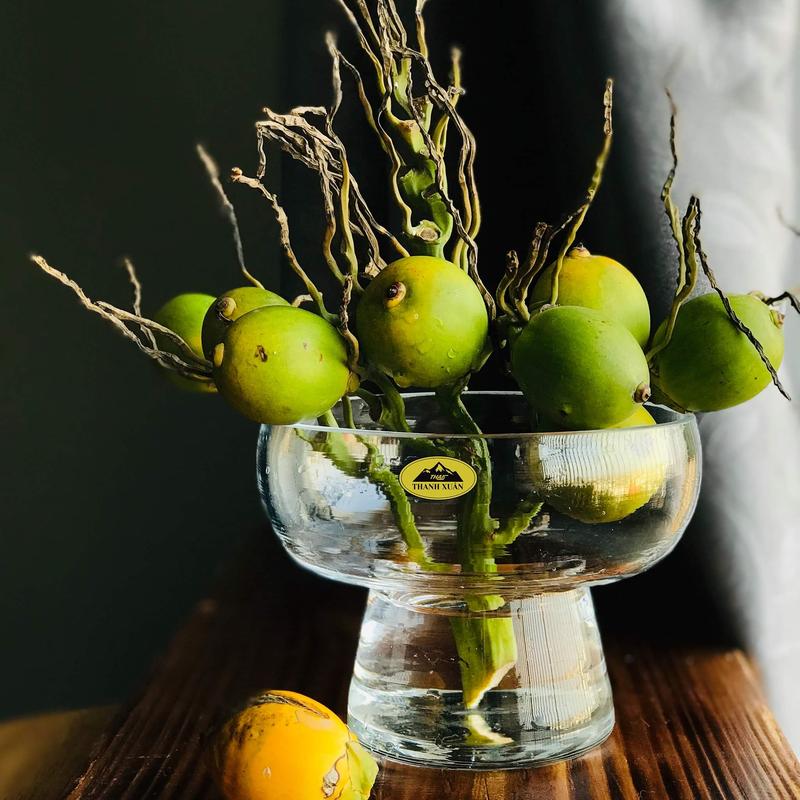 Ly thủy tinh bát thủy tinh để quả phật thủ trồng thủy sinh trồng hoa thủy tiên trang trí decor xinh xắn Thuỷ Tinh Lọ Hoa