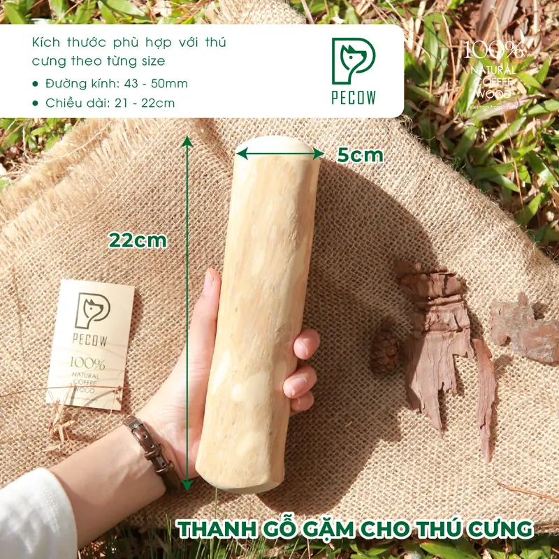 Thanh gặm cho chó bằng gỗ cà phê tự nhiên XL - Giảm căng thẳng và lo âu cat toys 2
