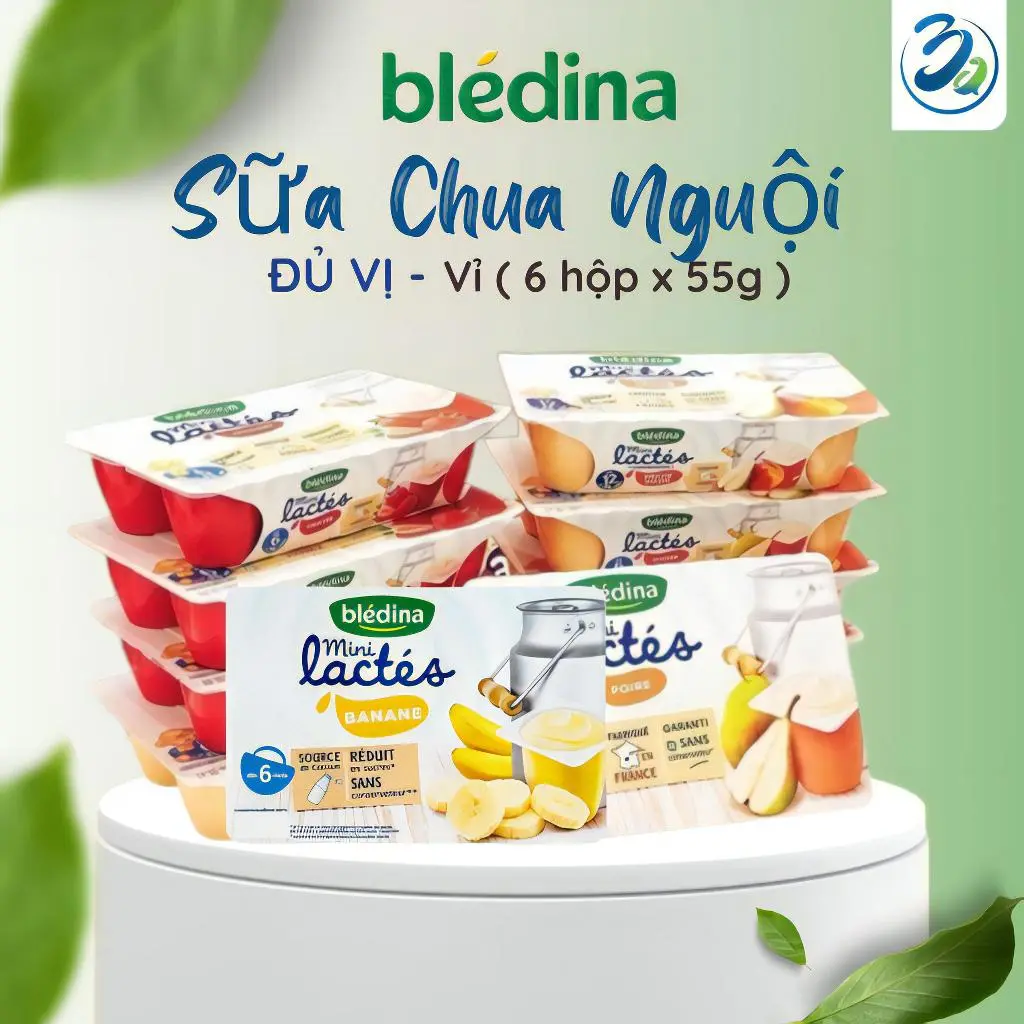 Sữa  Nguội  Pháp 330g  Đủ Vị ( vỉ 6 hộp x 55g ) Dành Cho Bé
