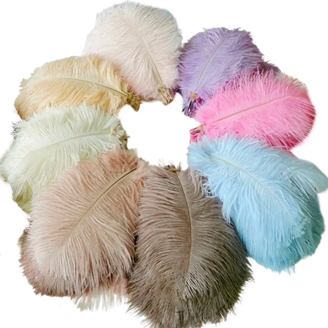 10 pcs Ostrich Feather DIY Decoration Feather for Headdress Ethnic / Festive Decoration Craft DIY