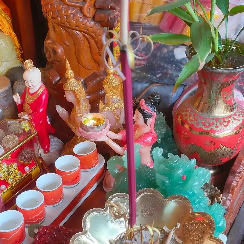Nhang Phú Quý cúng nở Thành Hoa Mai. 3