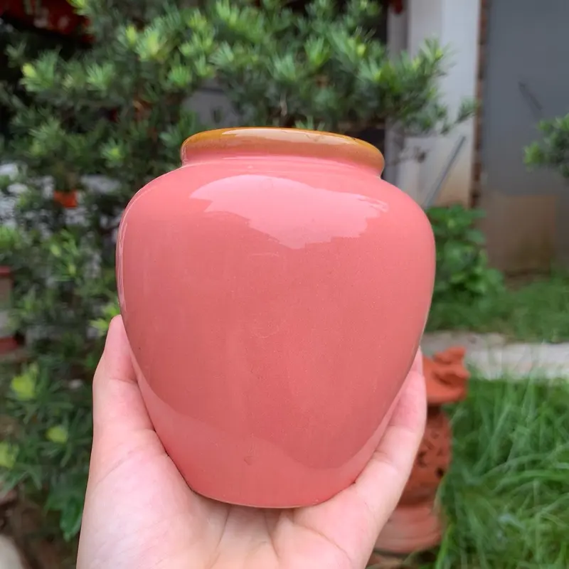 Lu Bia, Lu Uống Nước Đủ Màu Hàng Chuẩn Men Sáng Đẹp 7