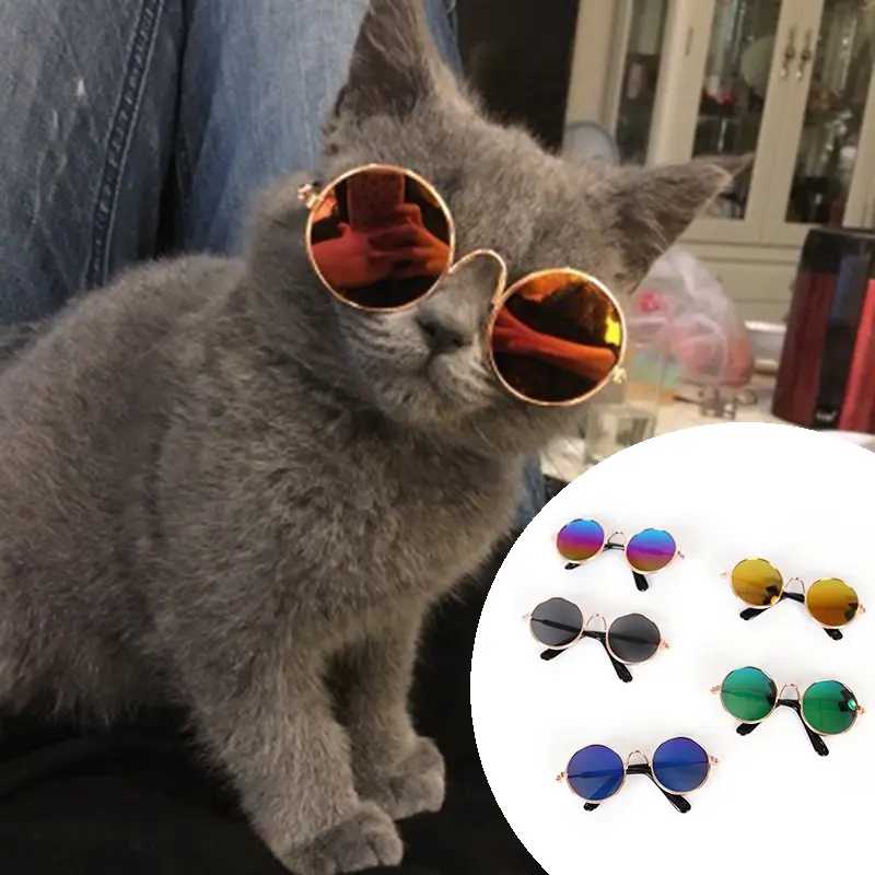Cool Cat Sunglasses Funny Headwear Cat Glasses Pet Accessories
