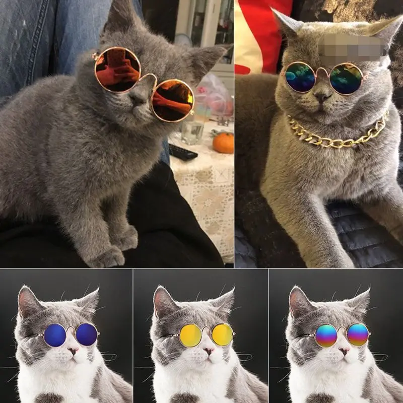 KACA MATA KUCING FHOTO SHOOT GAYA FASHION 0