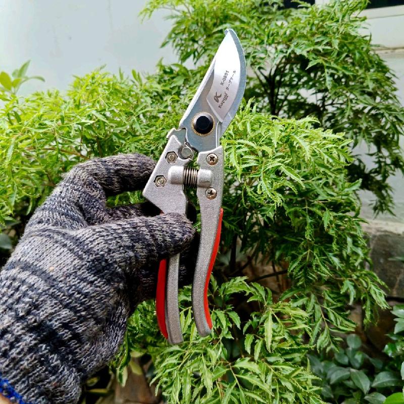 Kéo cắt cành Kapusi K-8640 thép Sk-5 nguyên khối dài 21cm