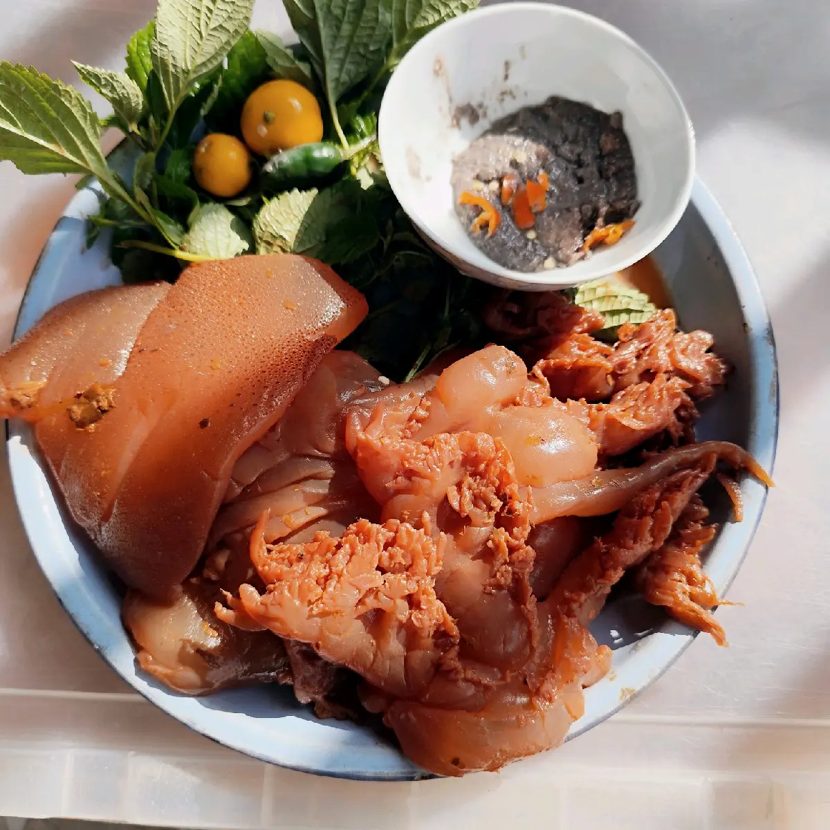 3kg sứa chân sứa muối sú vẹt thái bình(sứa trắng)tặng kèm mắm tôm