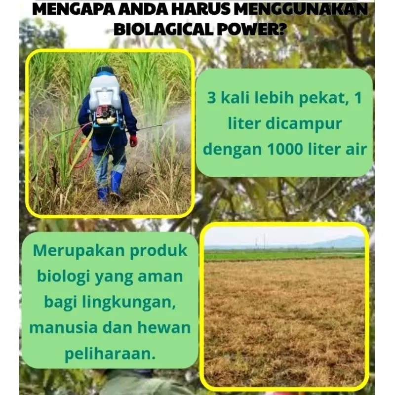 2 Botol rajanya pupuk libas solusi lawan hama 4