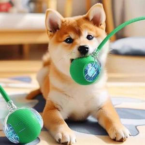 Balón interactivo automático para mascotas con cuerda, 1 unidad, Balón rodante recargable para perros y gatos, Artículos para mascotas