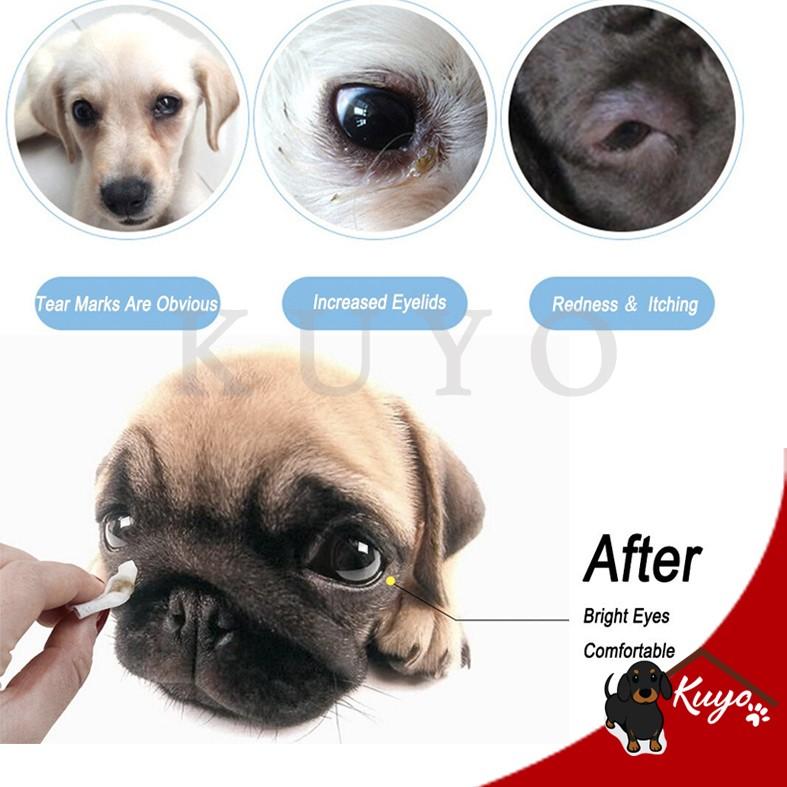 Pet Remove Tear Stain Wipes -Tissue Kapas Pembersih Mata Anjing Kucing 3