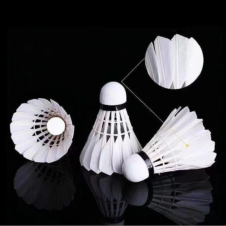 Product Introduction of Bóng Chuyền, Lông Ngỗng, Hàng Thật, Chống Gió, Thích Hợp Cho Phòng Giải Trí, Các Trận Đấu Ngoài Trời Và Tập Luyện, Dành Cho Người Lớn 1