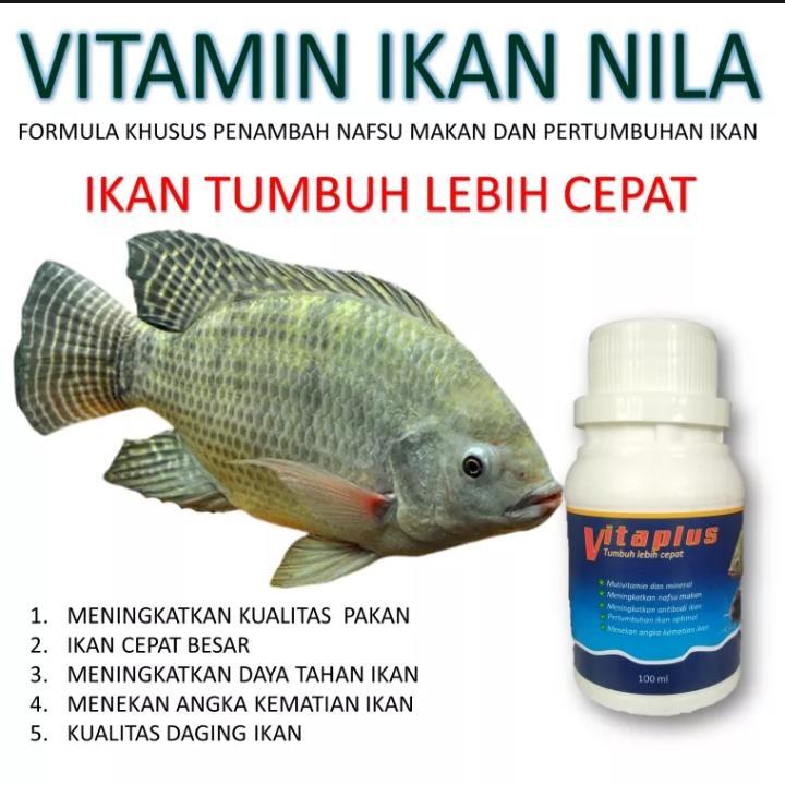 VITAPLUS multivitamin untuk ikan nila cepat besar Obat Ikan Vitamin Ikan Suplemen Ikan Lele Bawal Nila Patin Ikan Mas Ikan Gurame Mujair Semua Jenis Ikan Air Tawar Pemacu Pertumbuhan Ikan Penambah Nafsu Makan Ikan Cepat Besar Gemuk Dan Sehat 0