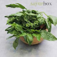 Gambar Daun Basil Konvensional 50 gram Sayurbox - Vegetables dari Sayurbox Kab. Bogor 1 Tokopedia