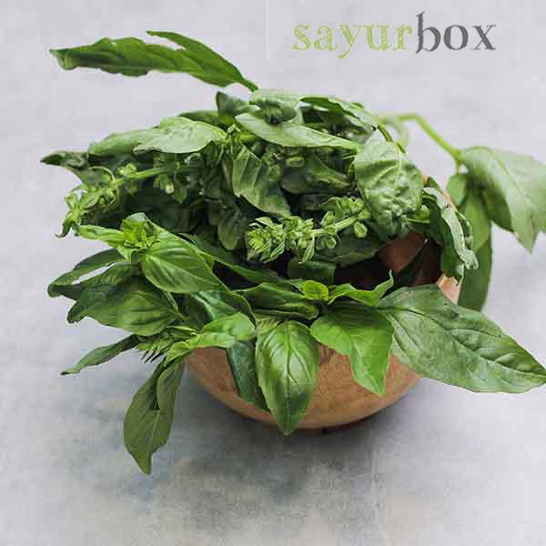 Gambar Daun Basil Konvensional 50 gram Sayurbox - Vegetables dari Sayurbox Kab. Bogor Tokopedia