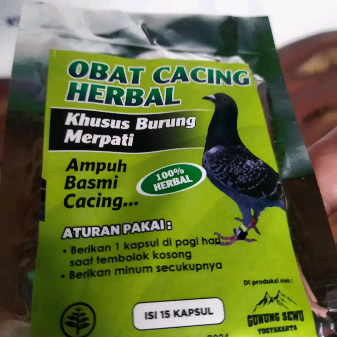 Obat cacing merpati
