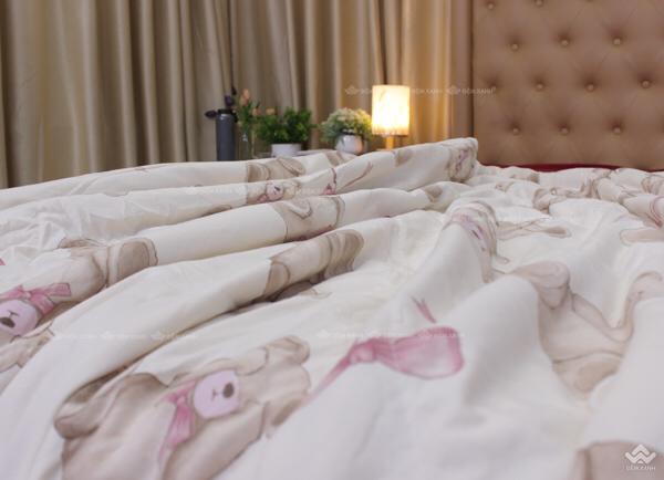 Product Introduction of Chăn hè xơ đậu nành 15