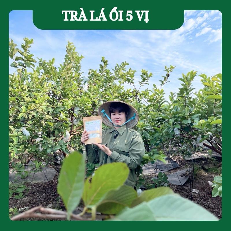 Hộp 60 Túi Lọc Trà Búp Ổi Mix Lá Sen ,Hoa Nhài Gạo Lứt ,Đậu Đen Nguyên Liệu Chính Tự Nhiên Thanh Nhiệt, Kiểm Soát Đường Huyết, GCan