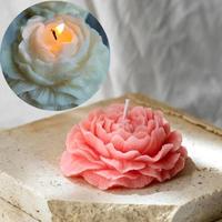 Gambar Cetakan Silikon Bunga 3D Bunga Buatan Tiga Dimensi Untuk Lilin Aromaterapi Flower Silicone Candle Mold DIY Kerajinan Tangan Sabun Gipsum & Dekorasi Rumah Benang - Model Transparan dari FluffyHQ Kab. Tangerang 4 Tokopedia