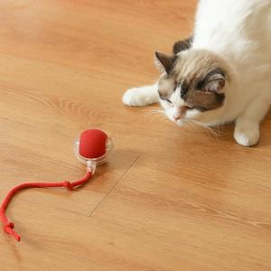 USB Rechargeable Cat Teaser Toy, Long Tail Toy Ball, Cat Training Toy, Interactive Toy for Cats, Pet Supplies for All Breeds of Cats