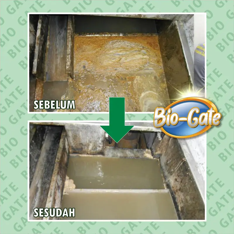(500ml) BIOGATE - Obat Penguras WC Mampet Penuh Aman & Proses Cepat 1