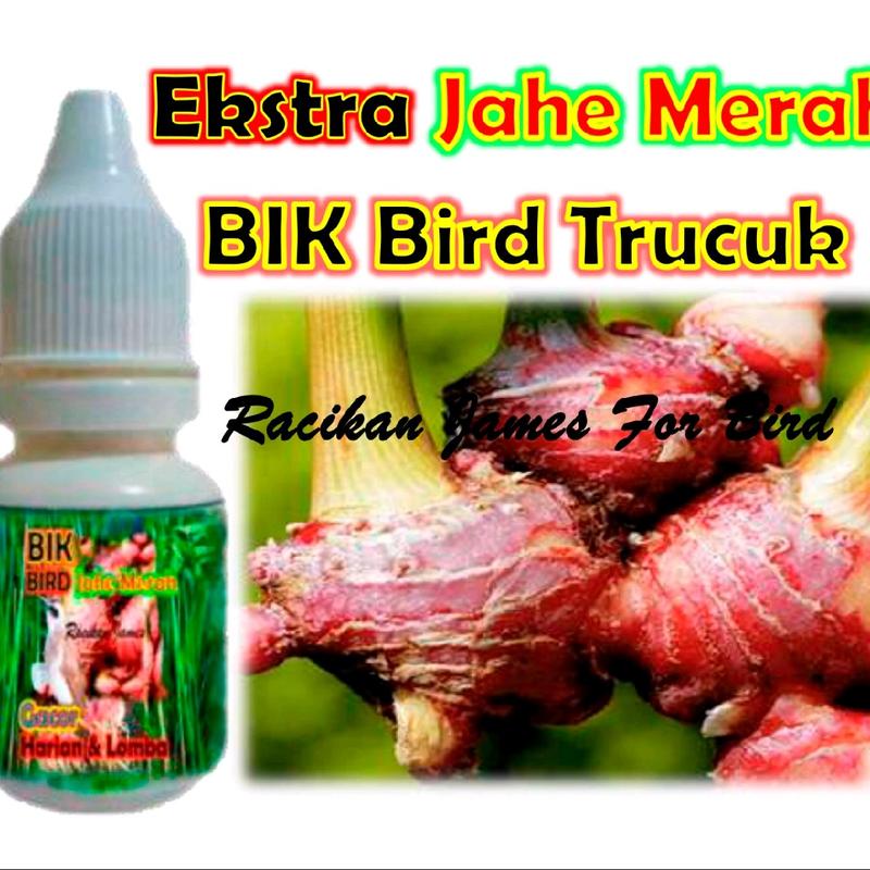 BIK Bird Trucuk. Ekstra Jahe Merah. Jametik. 4