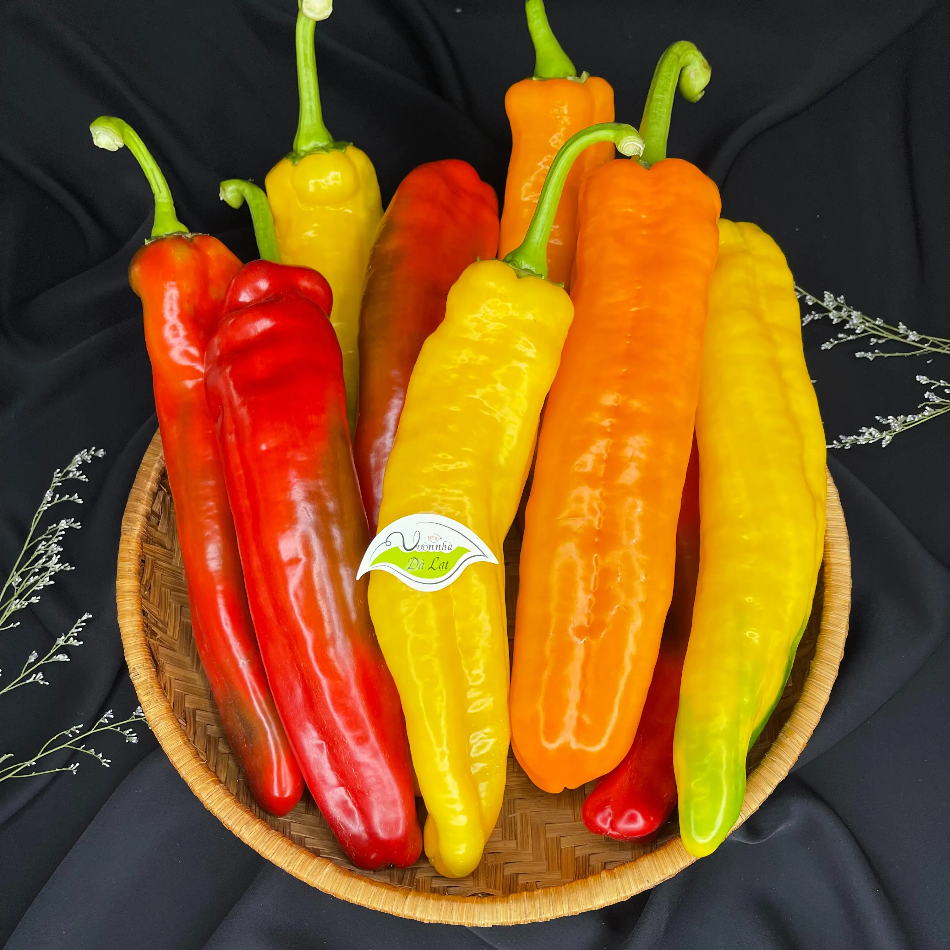 1kg Ớt Sweet Palermo - Giòn Ngọt Không Hăng - Vườn Nhà Đà Lạt - ngành rau