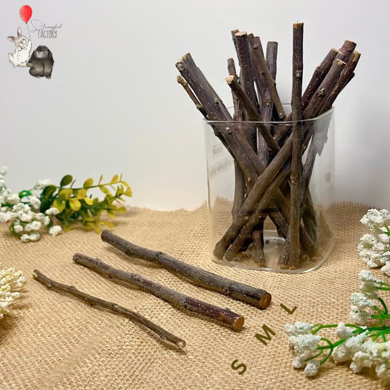Natural Orchard Apple Chew Stick - Pengasah Natural Gigi Kelinci Hamster Marmut Guinea Pig Chincilla 1