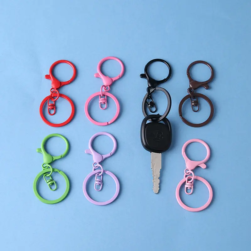 Móc Chìa Khóa Kẹp Xoay, Nhiều Màu Sắc, Chất Liệu Nhẹ Thích Hợp Cho Trang Trí Nội Thất Hiện Đại, Ví Chìa Khóa, Móc Chìa Khóa 1