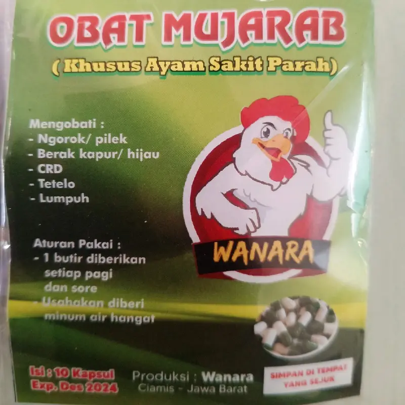 OBAT MUJARAB SEMUA SAKIT 0