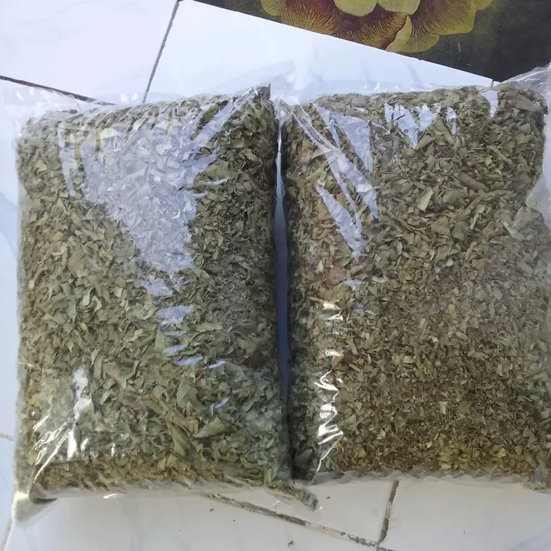 10 túi trà ổi non cắt nhỏ phơi khô vô túi lọc, súc miệng, gội đầu, uống giải khát và nhiều dược tính khác 1