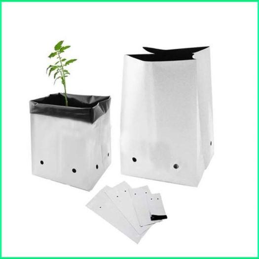 SET 10 CÁI TÚI Nilon PE 2 lớp Trắng Đen Cao cấp trồng Dưa Lưới, Dưa Chuột, Nhà Kính, Nhỏ Giọt - Bền 3 - 4 Vụ (Túi trồng cây, túi ươm cây)