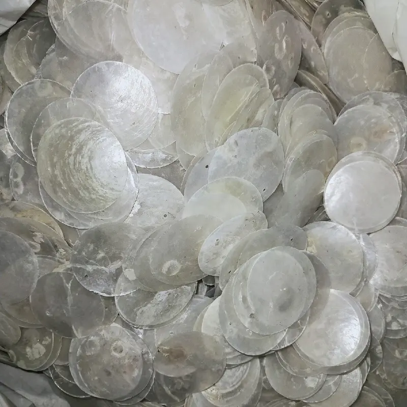 Kerang Simping 1kg 1