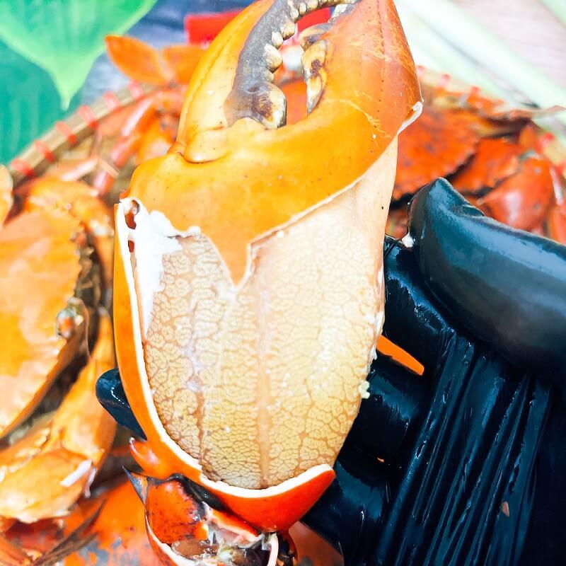 Cua Thịt+Gạch size 2 con/kg - Cam kết chính gốc Cà Mau, tỷ lệ thịt và gạch trong thân cua đạt trên 90% -  CUACMU chấm Vn 2
