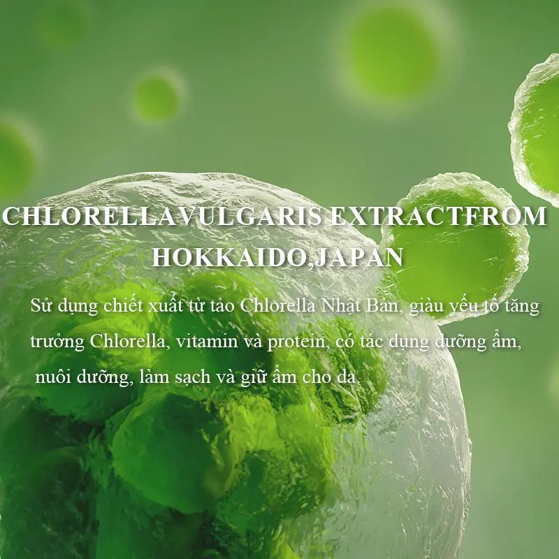 1PC 35000₫ SHEEureka Chlorella Exfoliating dành cho mặt tẩy tế bào chết Kiểm soát dầu Làm sạch sâu | Tẩy tế bào chết thu nhỏ lỗ chân lông Tươi mới | Phù hợp với mọi loại da 1