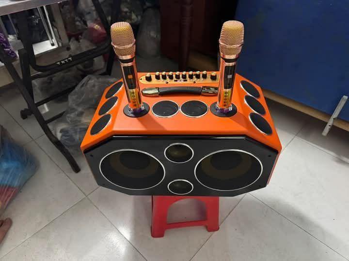 Product Introduction of Loa xách tay Bass 25 đôi, 20 đường loa 2