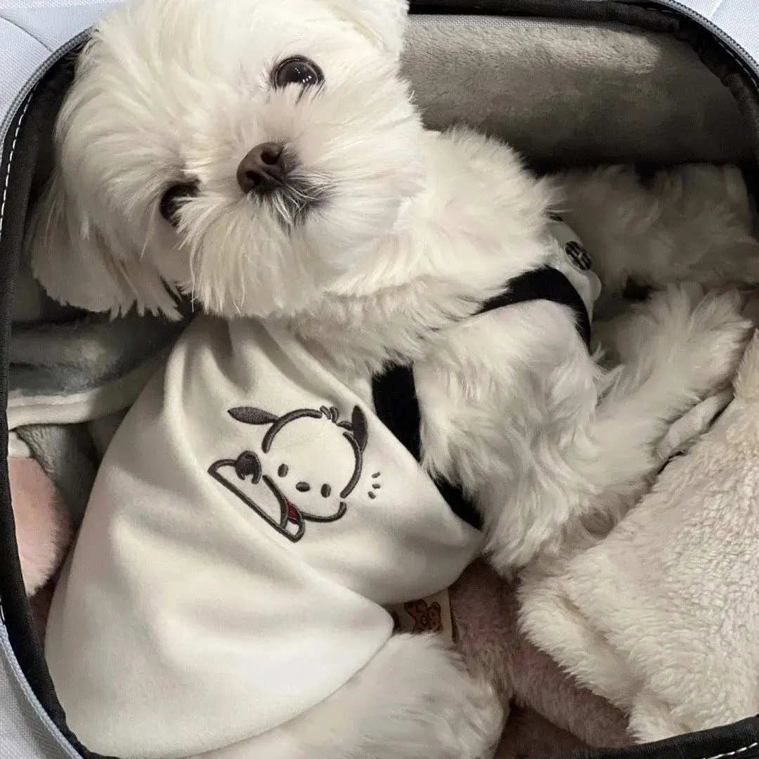 2025 New Pochacco Pet Summer Vest Teddy Bichon Small Dog Tank Top Cat Spring Summer Outfit Dog Clothes