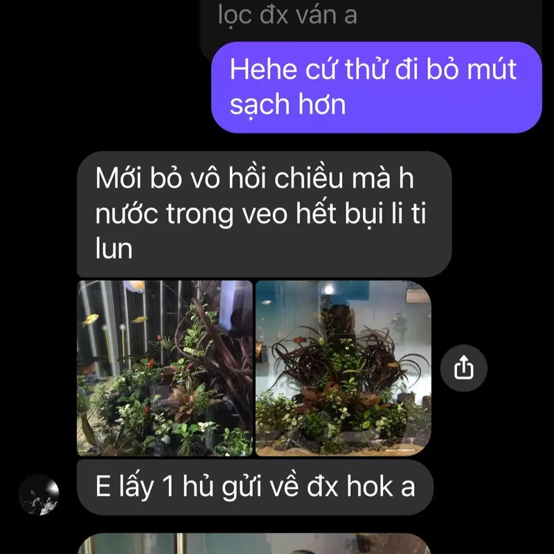 Combo xử lý nước gồm (Vi Sinh và Clean Pro NVL) giúp xử lý độc tố, phân giải hữu cơ.. Khử clo, No3, kim loại nặng, khử độc hồ - Hỗ trợ làm sạch cặn bám ống, vật liệu lọc -đảm bảo cá chỉ đi vì tuổi già, trọng lượng vi sinh 30g và clean pro 100ml 3