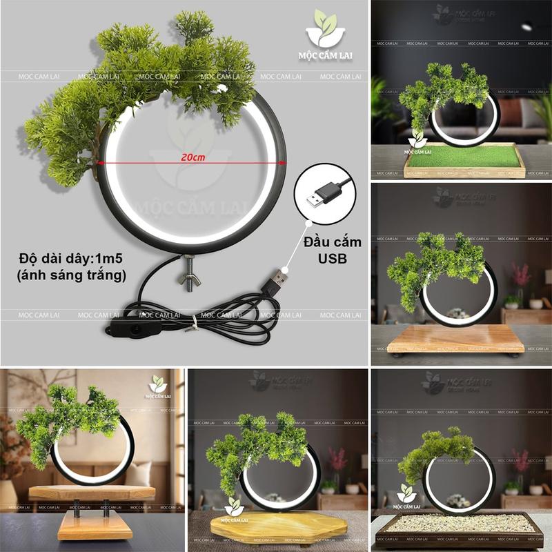 Đèn Led Tròn BONSAI Hào Quang 20cm Đèn Led Dùng Trang Trí Tiểu Cảnh, Thác Khói Trầm Hương