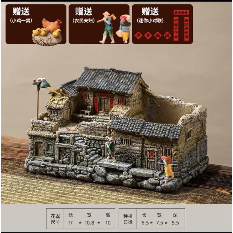 nhà mô hình cây cảnh trồng tiểu cảnh trong nhà 3